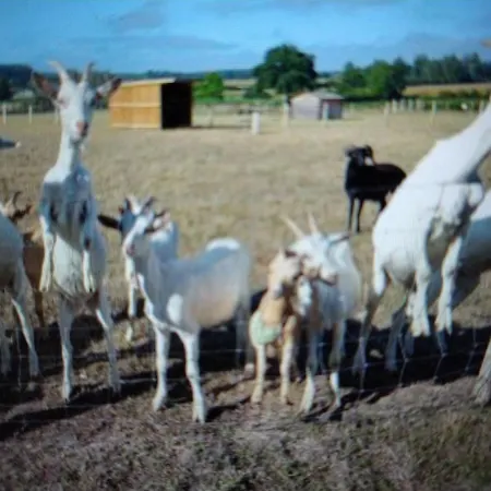 Avec Jacuzzi Privatif Et Acces A Ferme Pedagogique - Fr-1-410-459 度假居 Cérans-Foulletourte