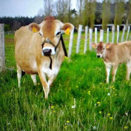 Avec Jacuzzi Privatif Et Acces A Ferme Pedagogique - Fr-1-410-459 * Cérans-Foulletourte