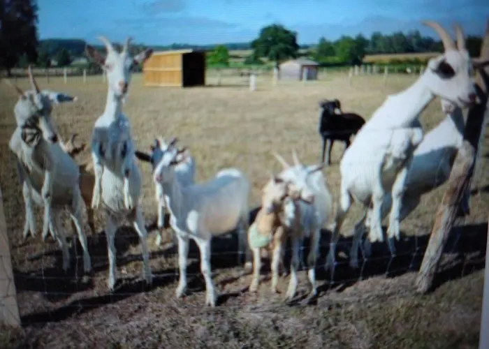 Avec Jacuzzi Privatif Et Accès à Ferme Pédagogique - Fr-1-410-459 Сasa de vacaciones Cérans-Foulletourte