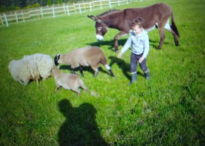 Semesterbostad Avec Jacuzzi Privatif Et Acces A Ferme Pedagogique - Fr-1-410-459 Cérans-Foulletourte
